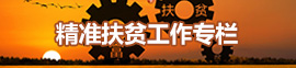 z_pic5.jpg z_pic5.jpg