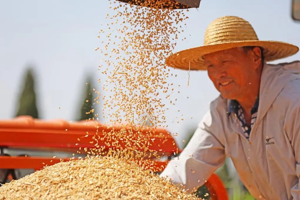 7月16日，中国一汽第6000万辆汽车暨第900万辆解放牌卡车驶下生产线。新华社记者颜麟蕴 摄