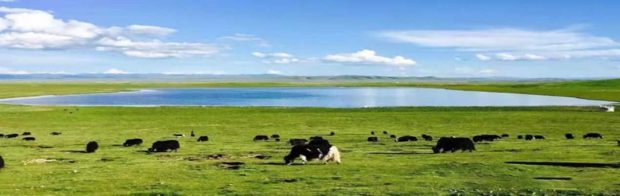 阿尼措日更圣湖景区.jpg